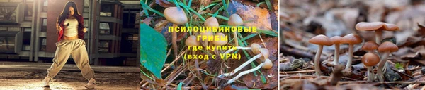 мескалин Армянск