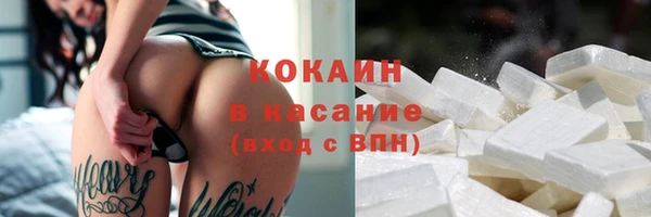 твердый Аркадак