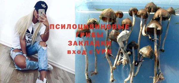 твердый Аркадак