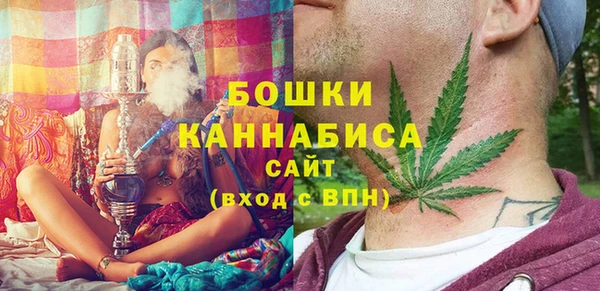 шишки Тавда
