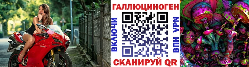 Псилоцибиновые грибы Magic Shrooms  Купить где  Борзя 